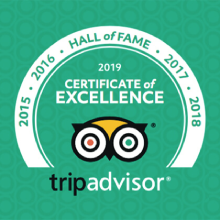certificate-excellence-tripadvisor-romefreewalkingtour a close up of a sign