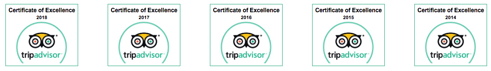 rome-free-walking-tour-tripadvisor-certificate-excellence a screenshot of a cell phone