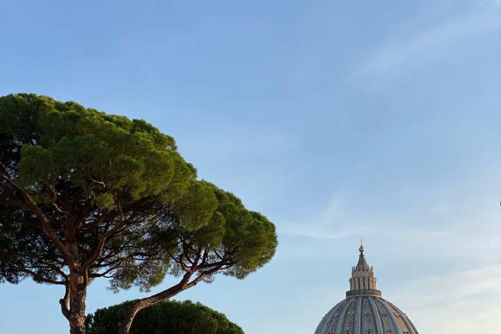 a large tree in front of a building